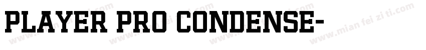Player Pro Condense字体转换